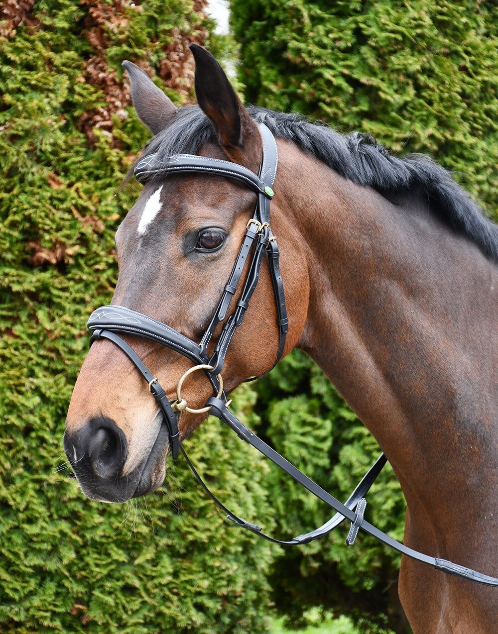 Picture of Rhinegold Elegance Wide Stitch Anatomical Leather Bridle,  2 Colours, 4 Sizes