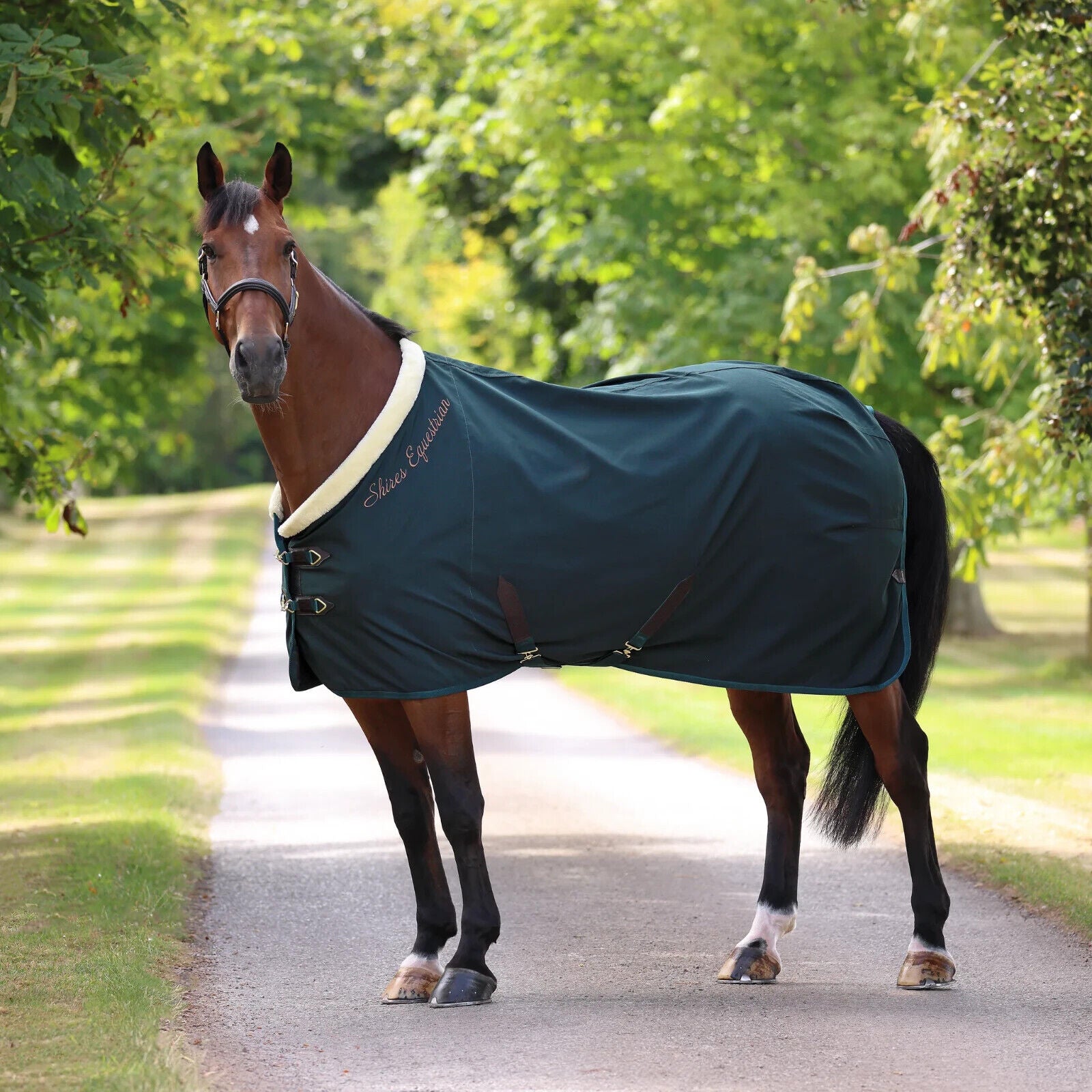Picture of Shires Deluxe Stable Sheet Rug, Horse rug,  3 Colours,   5'6" - 7'3"
