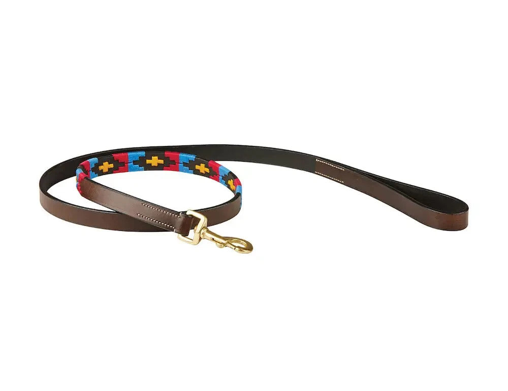 Picture of Weatherbeeta Polo Leather Dog Lead, 5 Colours.