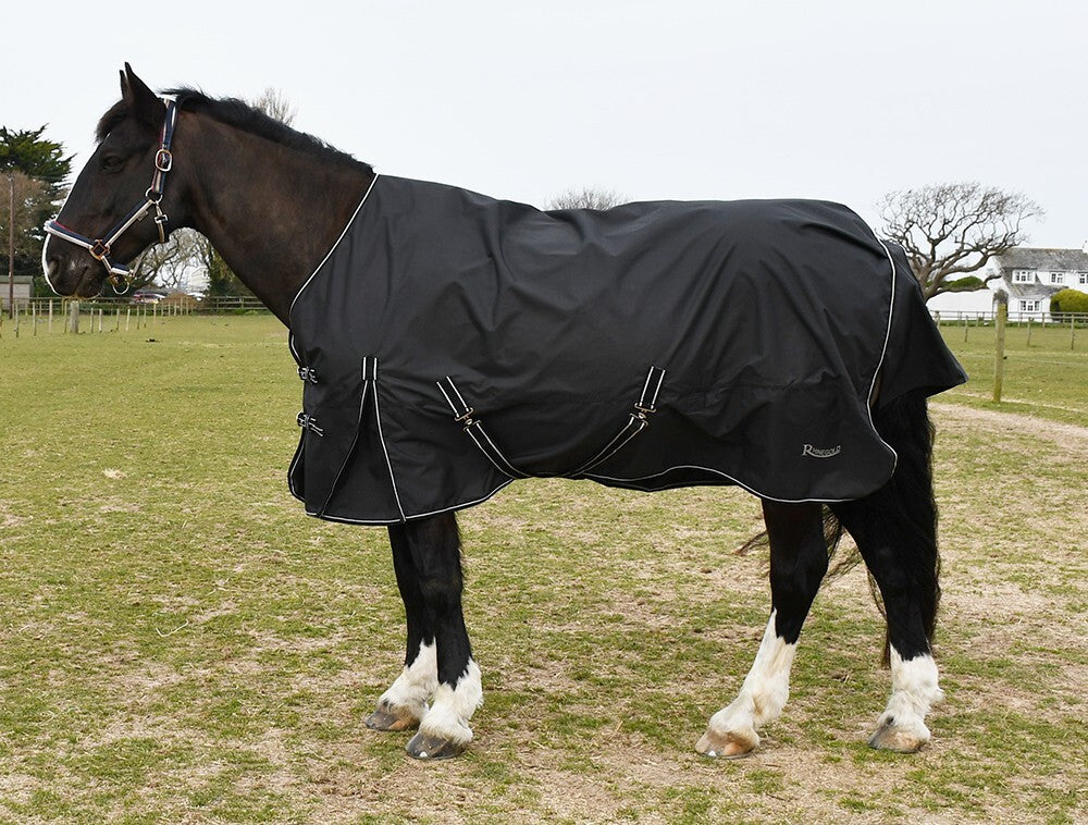 Picture of Rhinegold Capri 100gsm Horse Turnout Rug, 600d, Black,