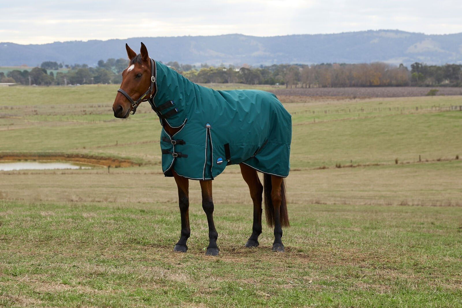 Picture of WEATHERBEETA COMFITEC CLASSIC 360G HORSE TURNOUT RUG, COMBO FULL NECK.