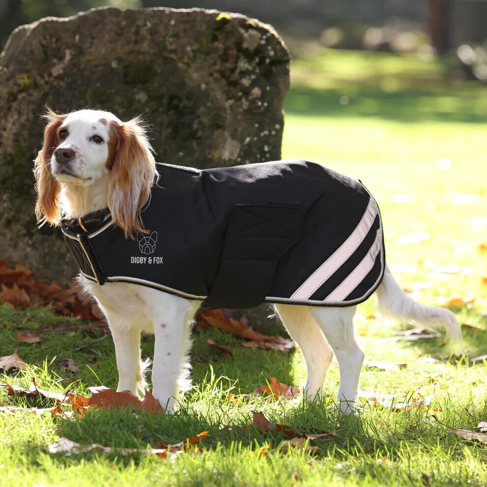 Picture of Shires Digby & Fox Waterproof Dog Coat, Insulated lining, Various Sizes/Colours