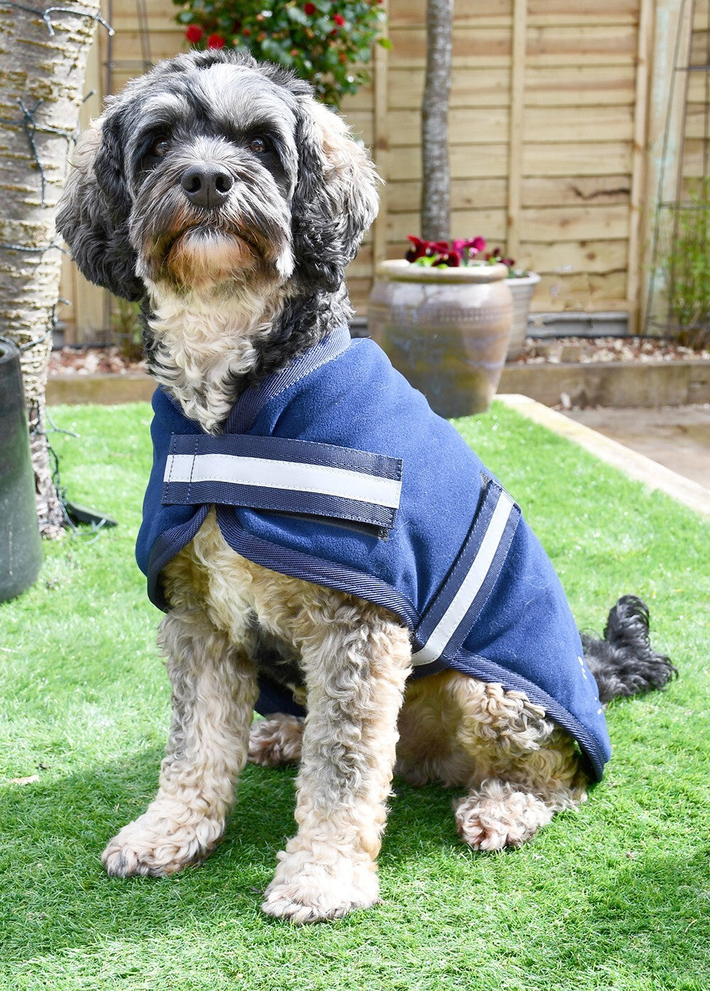 Picture of Rhinegold Dog Fleece Dog Coat,  12 Sizes,  2 Colours