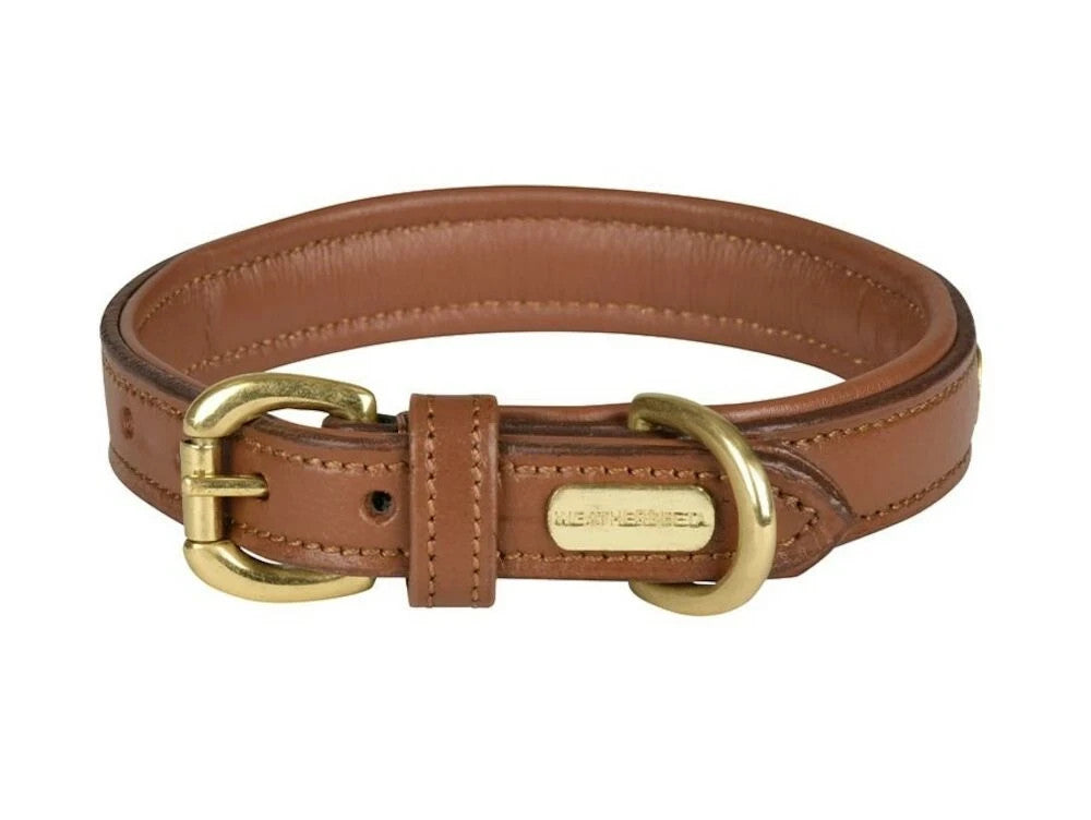 Picture of Weatherbeeta Padded Leather Dog Collar,3 Colours, 6 Sizes