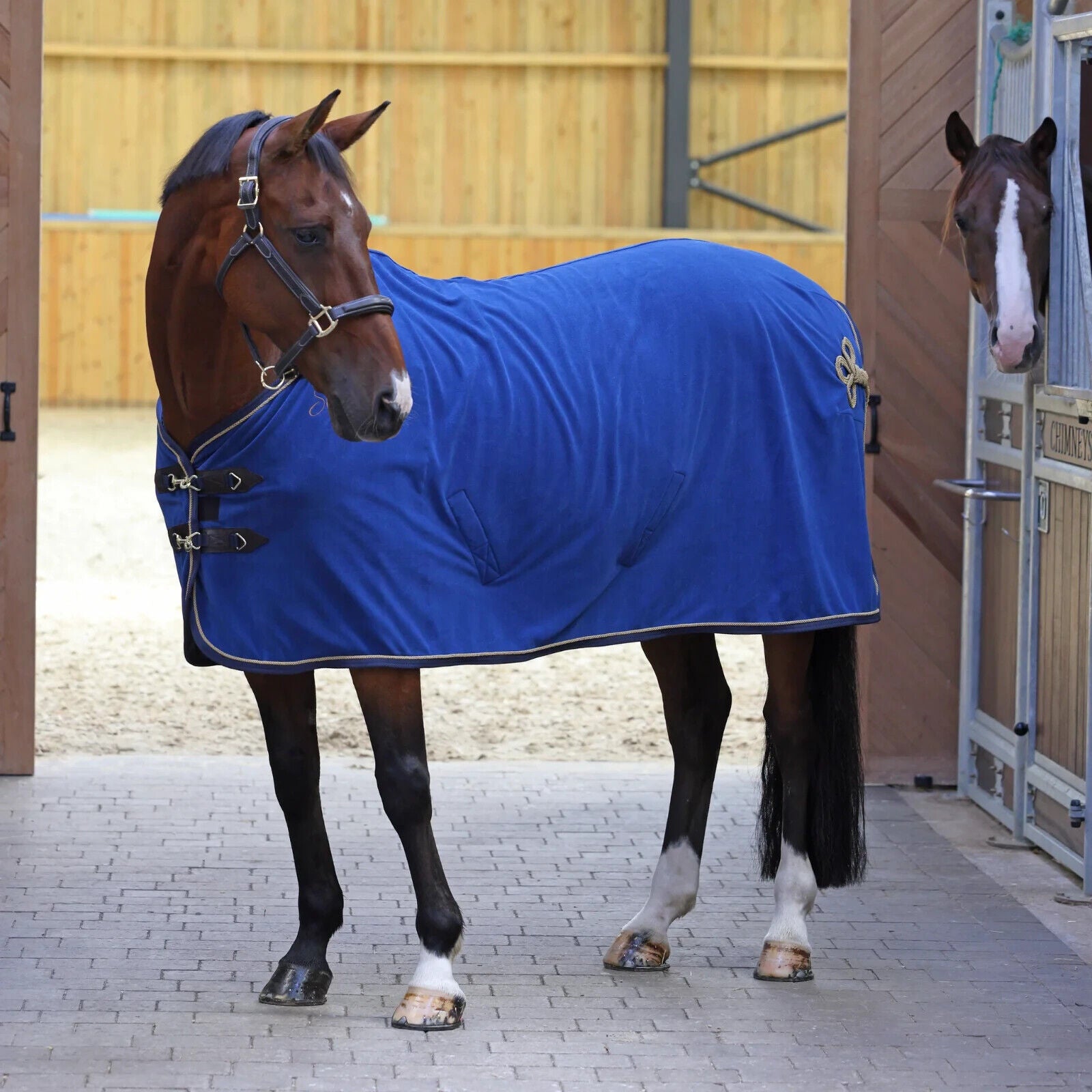 Picture of Shires Deluxe Fleece Show Rug, Navy, 5'6"-7'0"