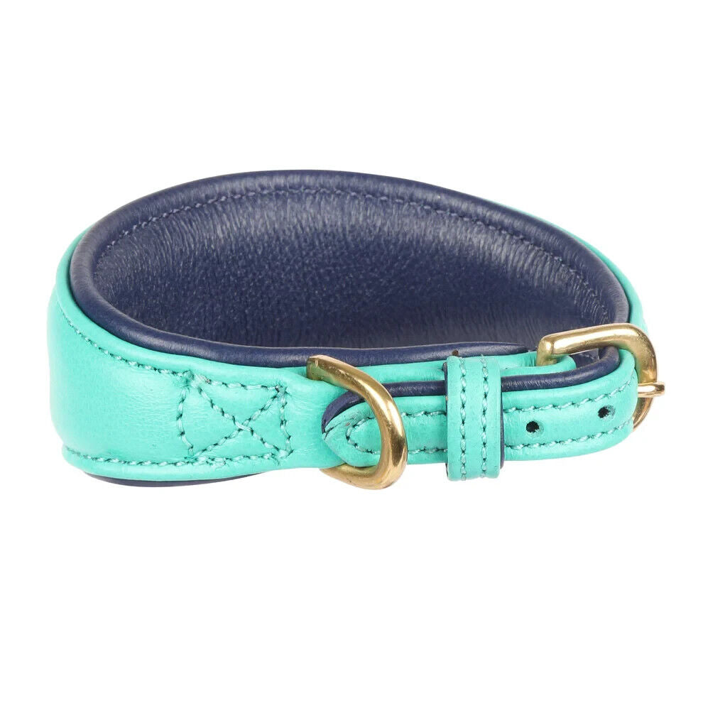 Picture of Shires Digby & Fox Padded Greyhound Leather Dog Collar, 4 Sizes, 6 Colours