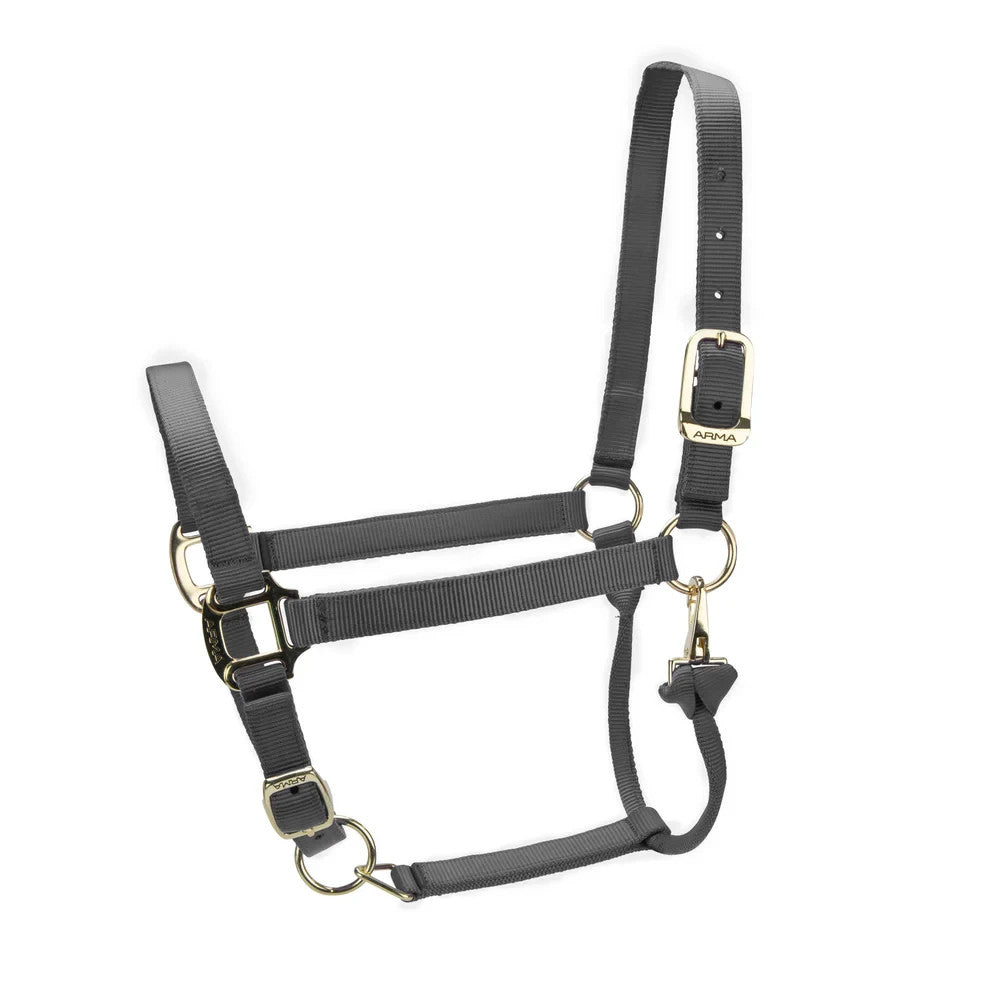 Picture of Shires ARMA Premium Adjustable Headcollar, 10 Colours, 4 Sizes