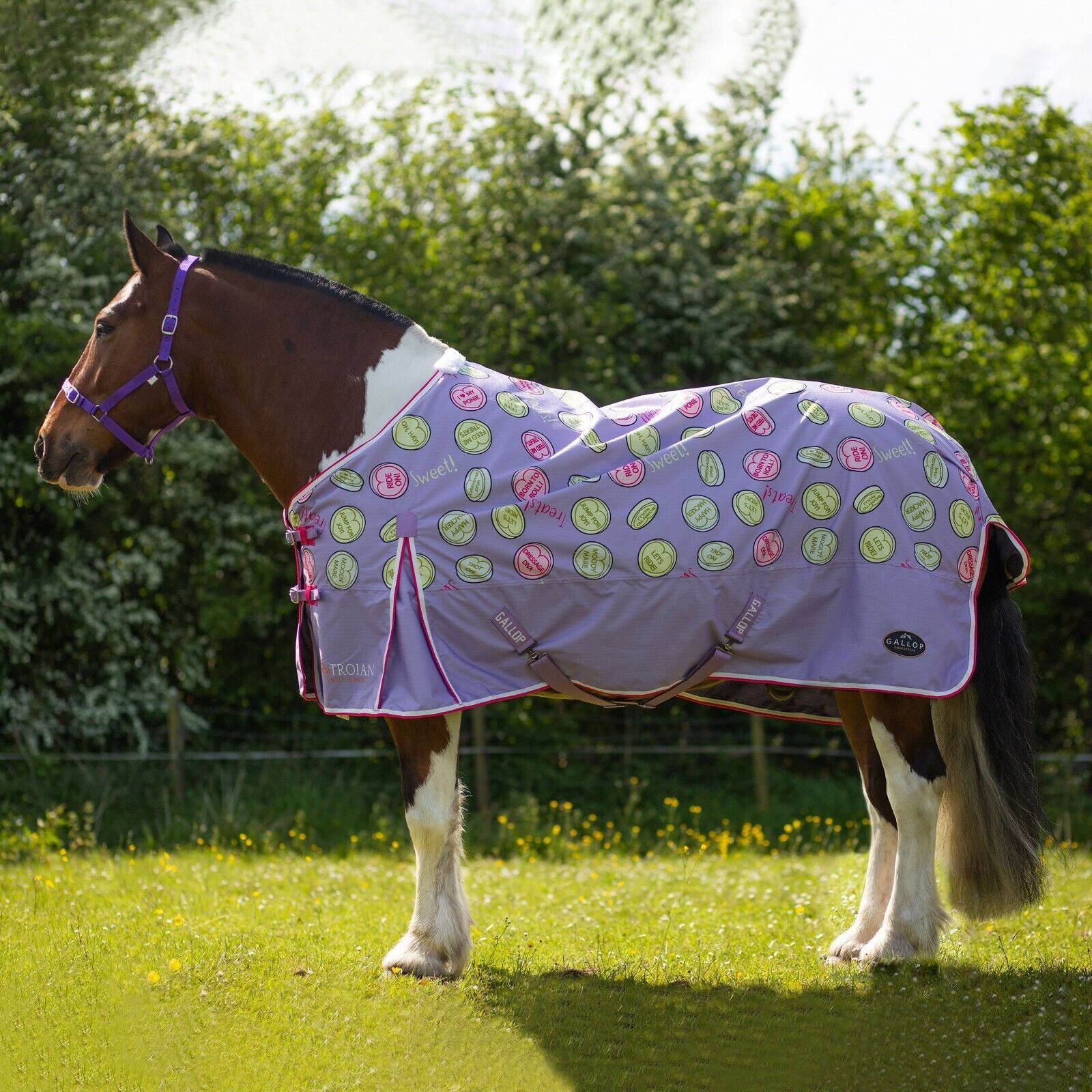 Picture of Gallop Trojan Sweet Treats Lightweight 0g Standard Neck Horse Turnout Rug