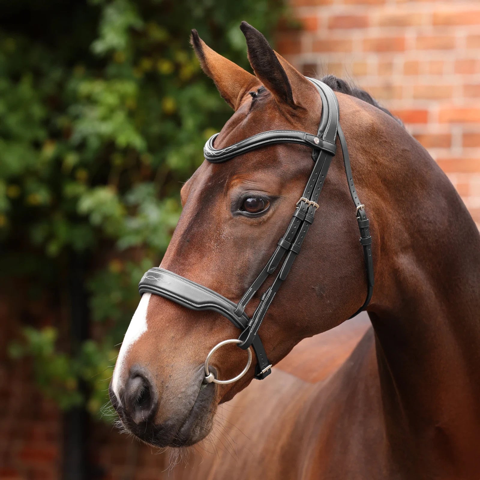 Picture of Shires Velociti LUSSO Opus 180M Dressage Cavesson Bridle, Black / Havana 4 Sizes