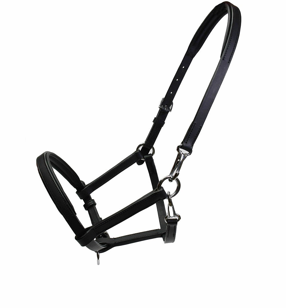 Picture of Rhinegold Yearling/Foal Leather Slip/Halter, Black, One Size