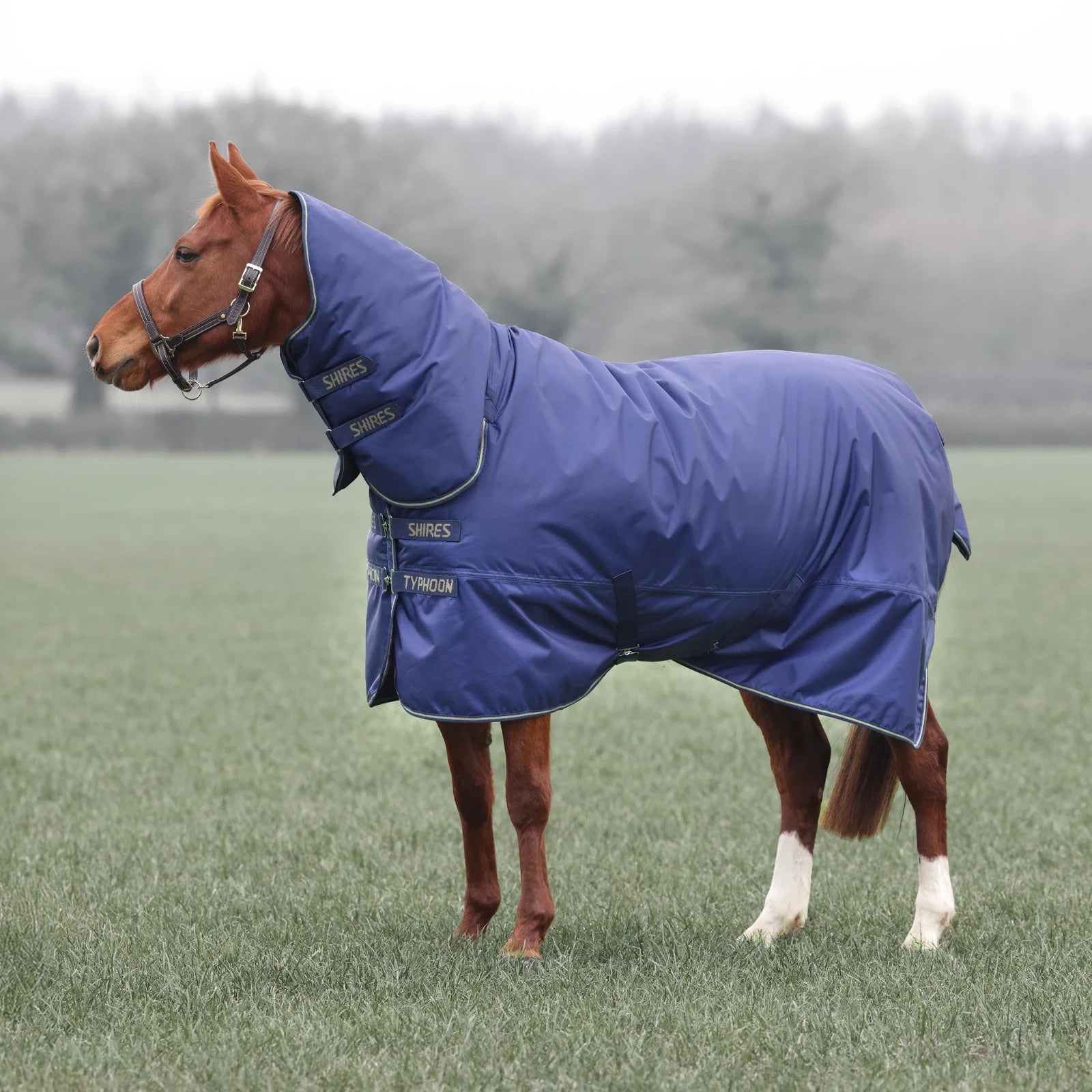 Picture of Shires Typhoon 0G Lite Combo Full Neck Lightweight Horse/Pony Turnout Rug, Navy