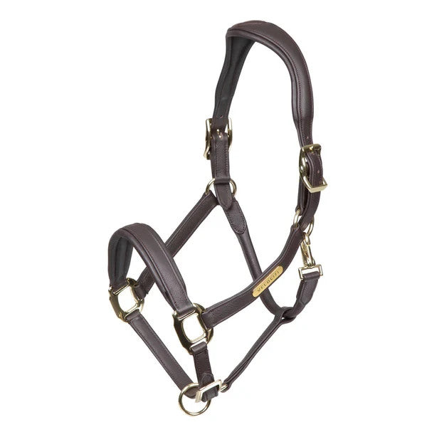 Picture of ShiresVelociti RAPIDA Comfort Leather Headcollar,  Black or Havana, 3 Sizes