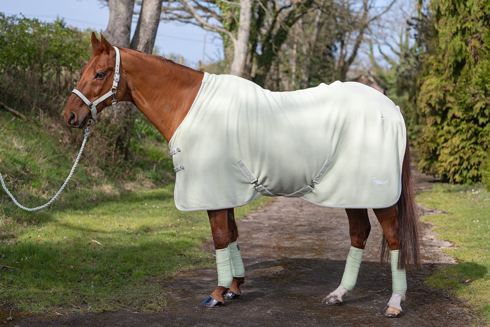 Picture of Rhinegold Sorbet Fleece/Travel Rugs, 3 Colours, 4'6"-7'3"