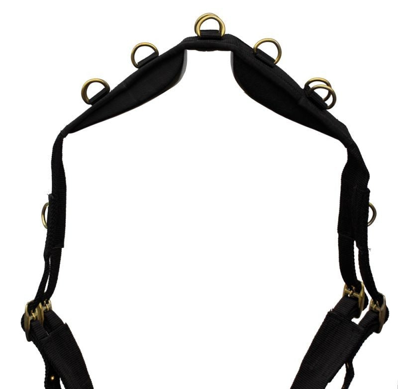 Picture of Windsor Nylon Lunging Roller, Training, Schooling Roller, Black