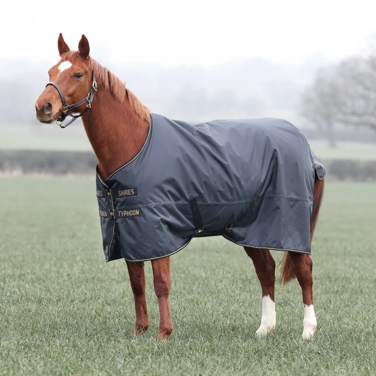 Picture of Shires Typhoon 50G Std Neck Lightweight Horse/Pony Turnout Rug, Black