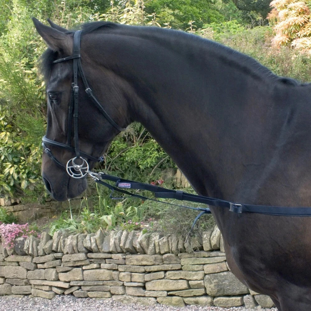 Picture of Whitaker Elasticated Side Reins, To Encourage Correct Positioning, Navy One Size