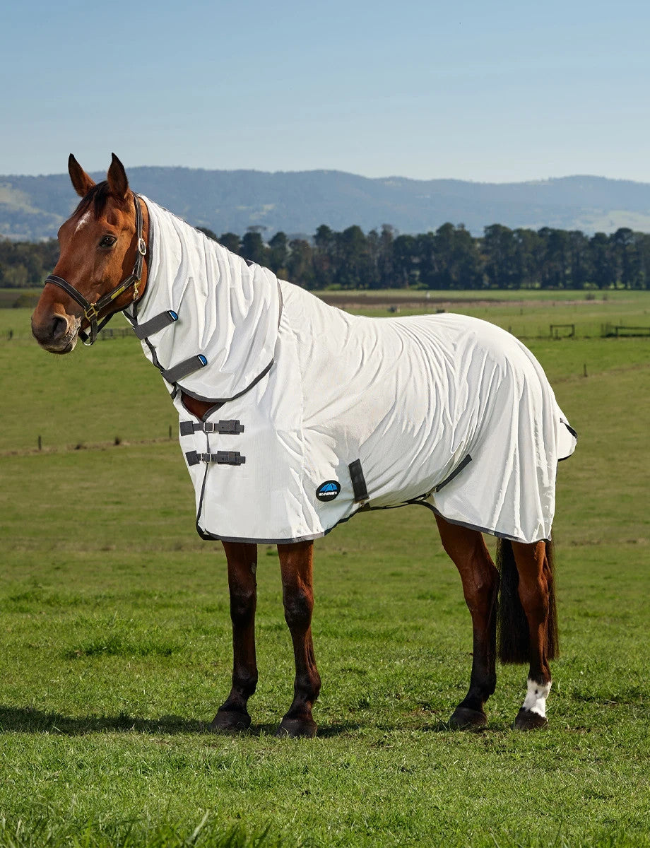 Picture of WeatherBeeta ComFiTec Tyro Fly Rug Sheet, Full Neck Combo, UV Protection