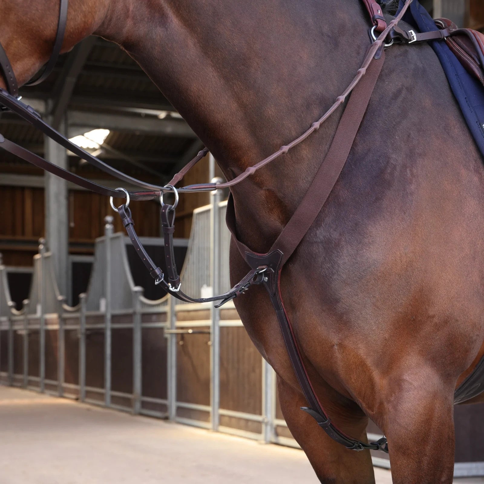 Picture of Shires Velociti LUSSO Elite Elastic Breastplate, Black / Havana, 4 Sizes