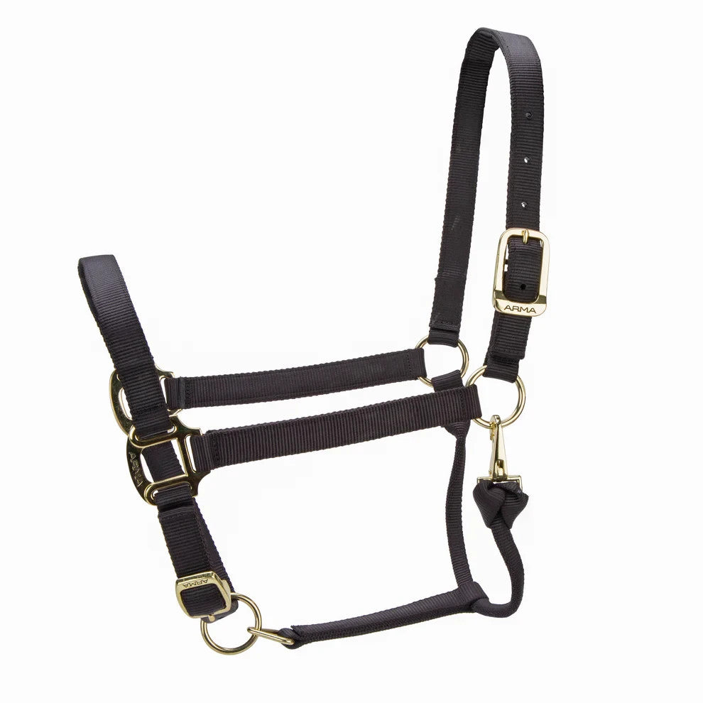 Picture of Shires ARMA Premium Adjustable Headcollar, 10 Colours, 4 Sizes