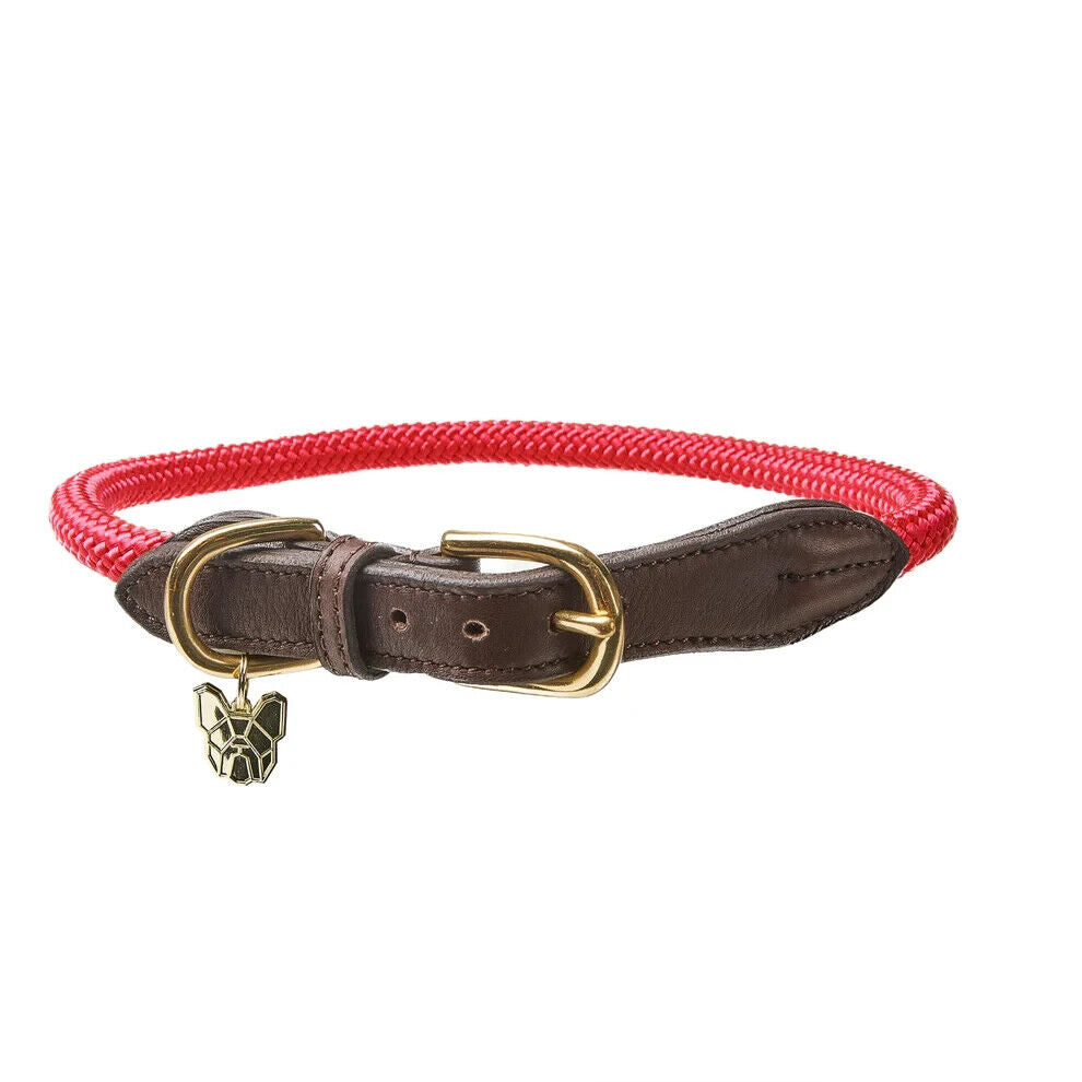 Picture of Shires Digby & Fox Fine Rope Dog Collar, 6 Sizes, 6 Colours