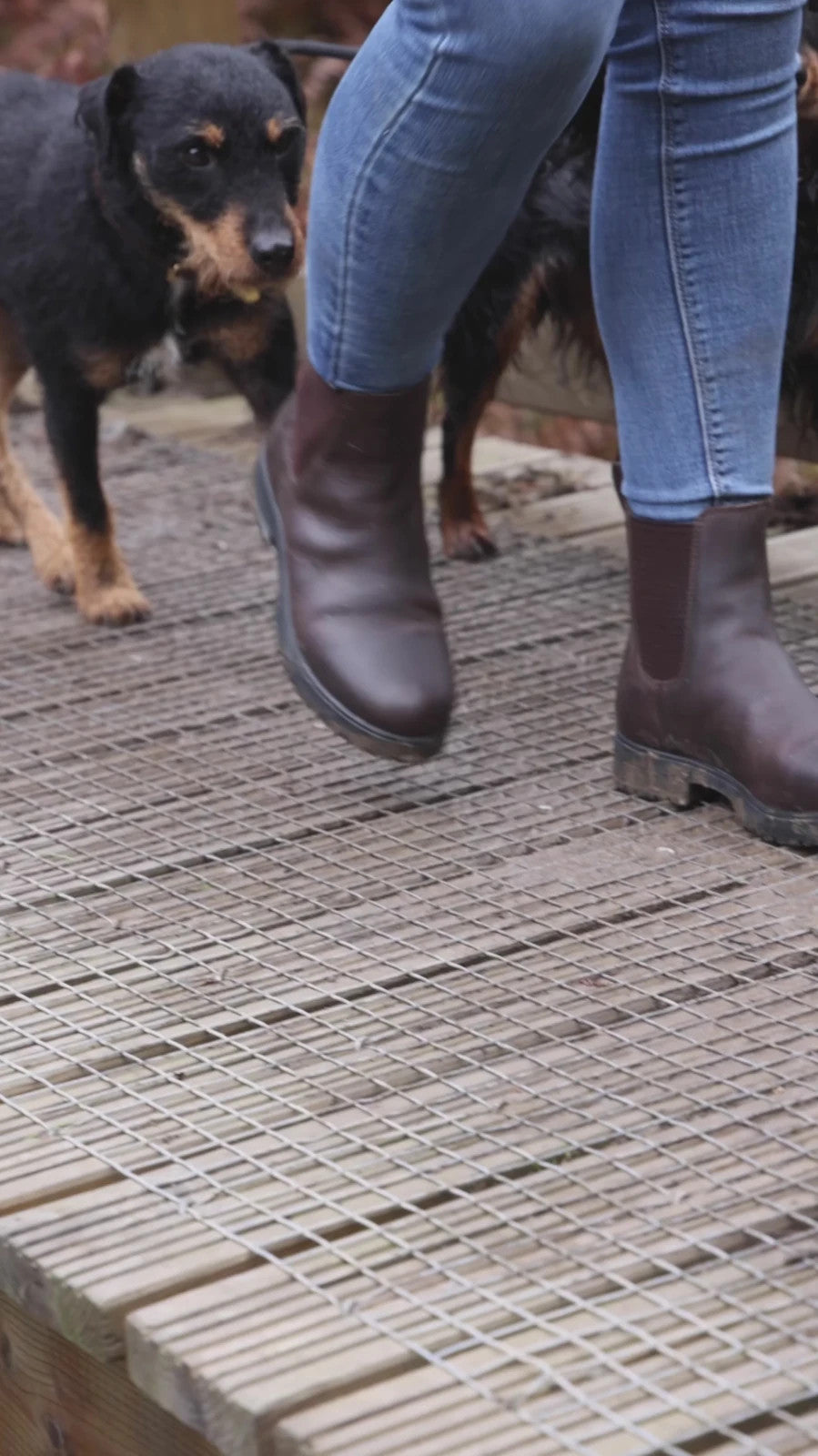 Picture of Shires Moretta Verona Dealer Boots, Waterproof, Walking, Yard Boots, Brown