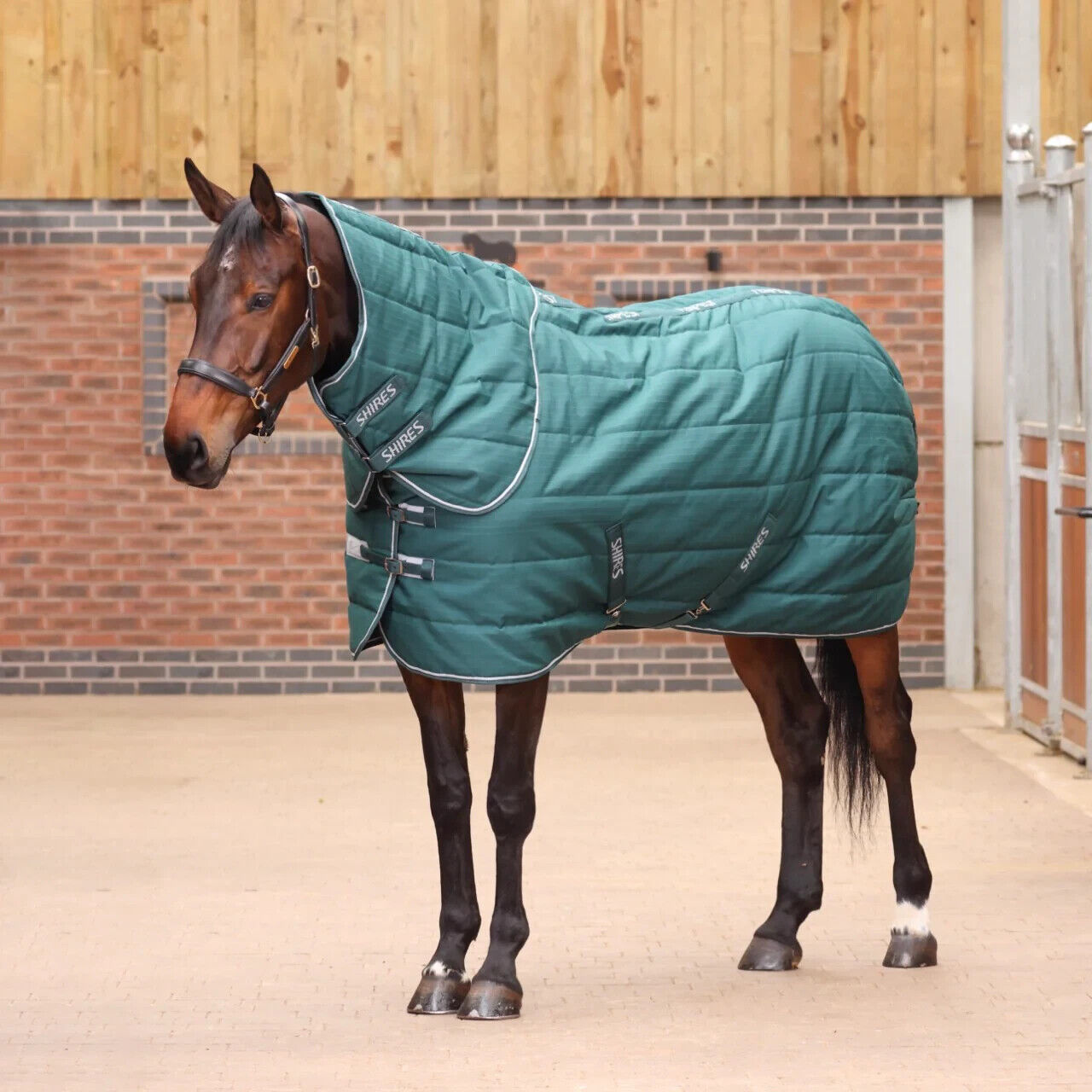 Picture of Shires Tempest Original 200G Lightweight Stable Horse Rug And Neck Set, 4'0-7'3