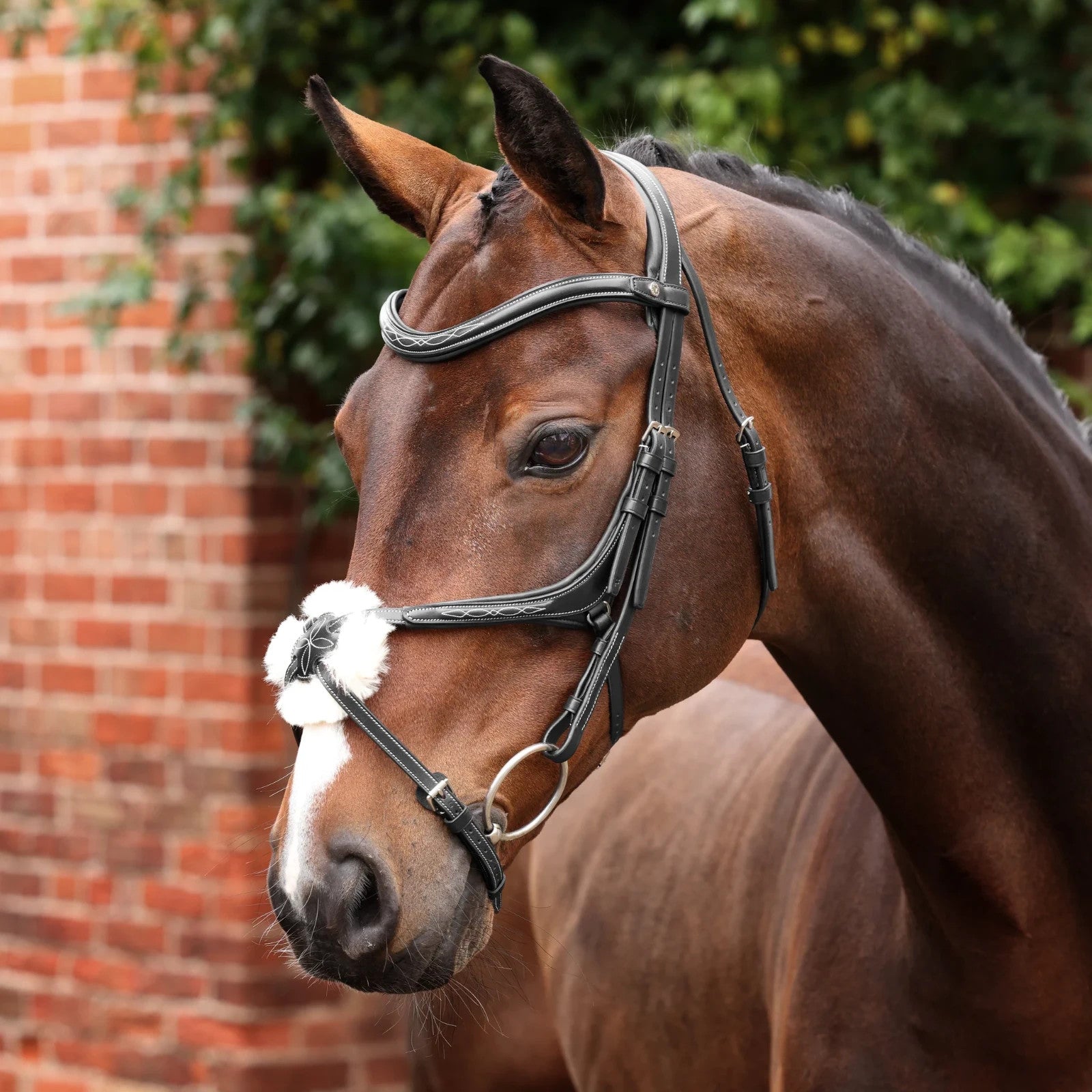 Picture of Shires Velociti LUSSO Opus 180M Grackle Bridle, Black / Havana, 4 Sizes