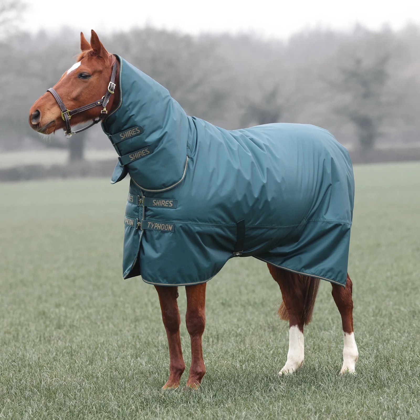 Picture of Shires Typhoon 200G Full Neck Combo Mediumweight Horse/Pony Turnout Rug,