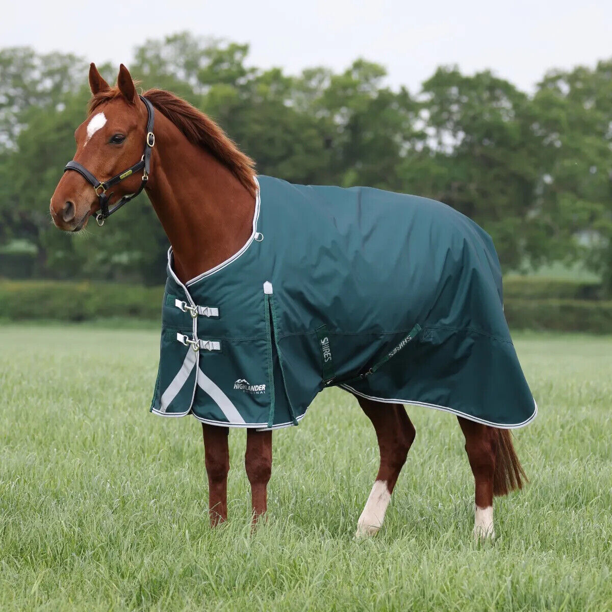 Picture of Shires Highlander Original 300g Horse/Pony Turnout Rug | Raspberry| 5'0"-7'3"