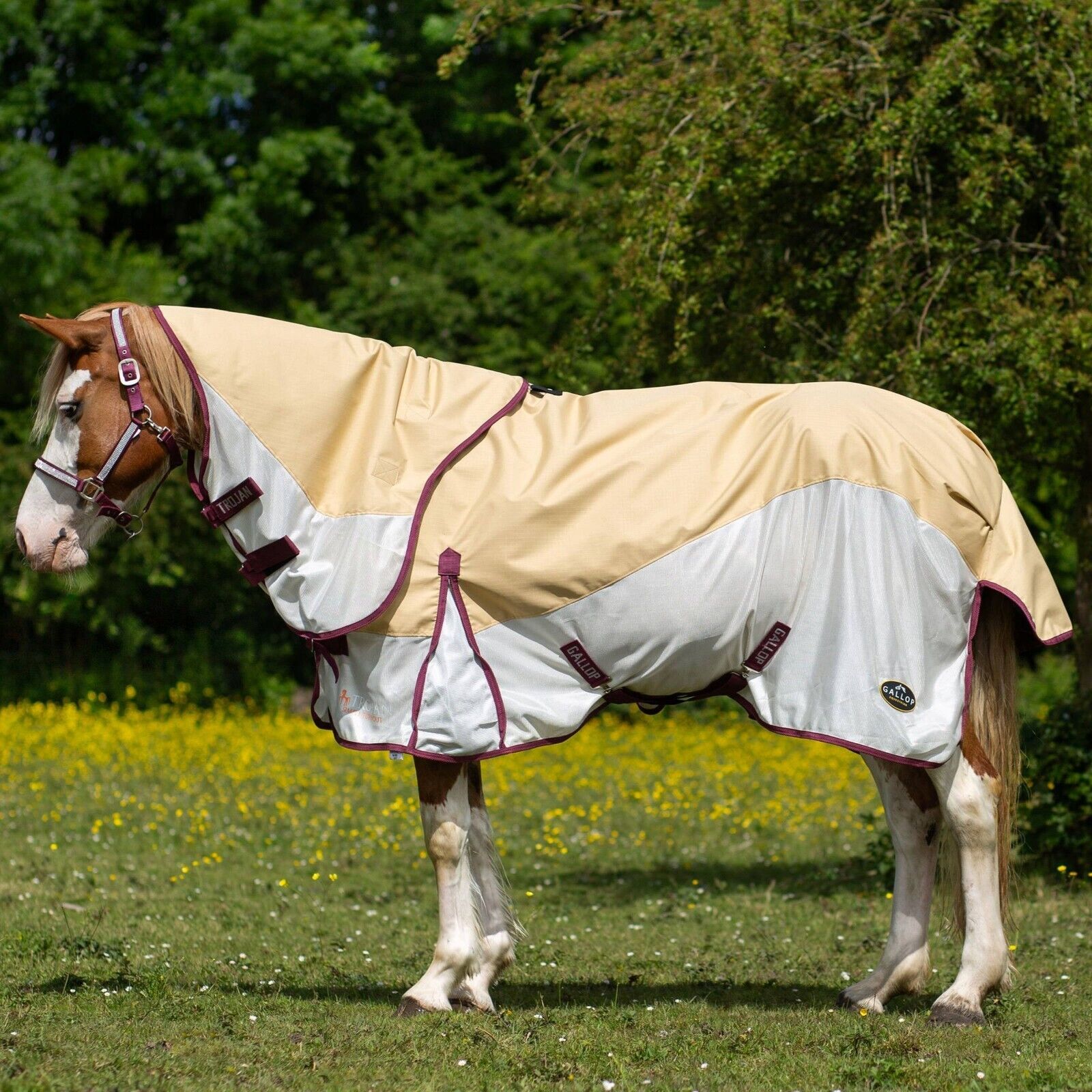 Picture of Gallop Trojan Dual 0g Turnout Fly Rug and Neck Set, Beige/White