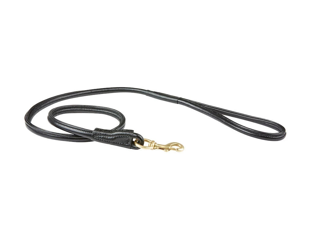 Picture of Weatherbeeta Rolled Leather Dog Lead, 5 Colours.