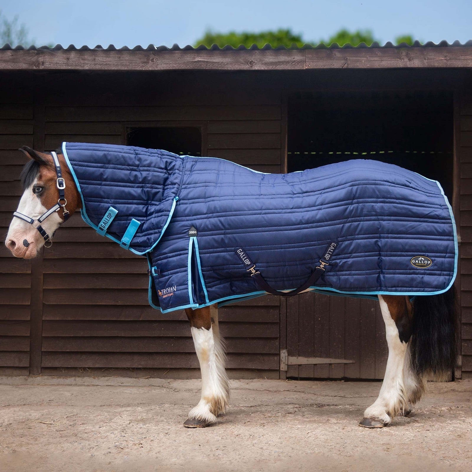 Picture of Gallop Trojan 300g Indoor Stable Rug Full Neck Combo In Navy/Sky