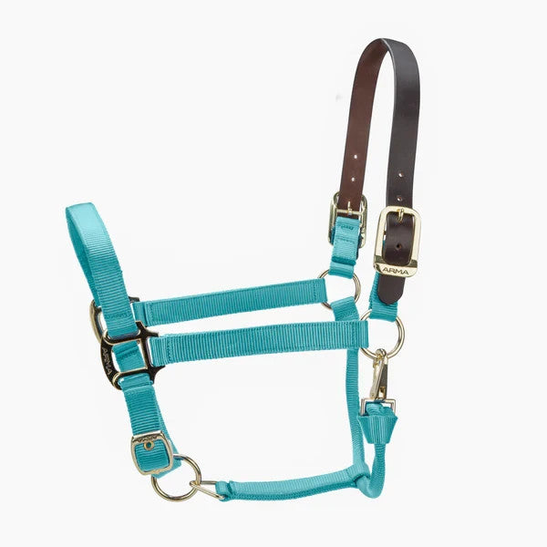 Picture of Shires ARMA Premium Adjustable FieldSafe Headcollar, 10 Colours, 4 Sizes