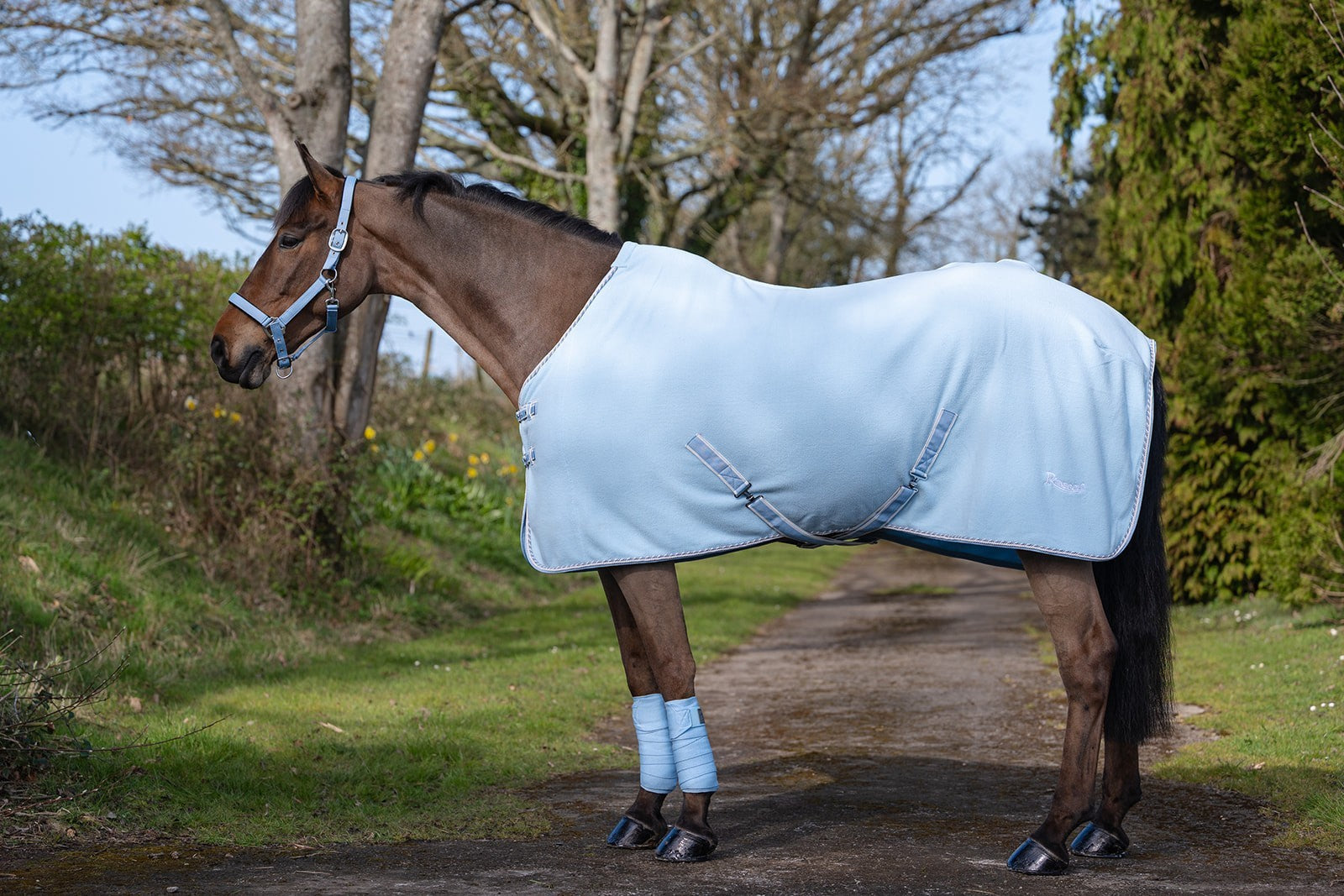Picture of Rhinegold Sorbet Fleece/Travel Rugs, 3 Colours, 4'6"-7'3"