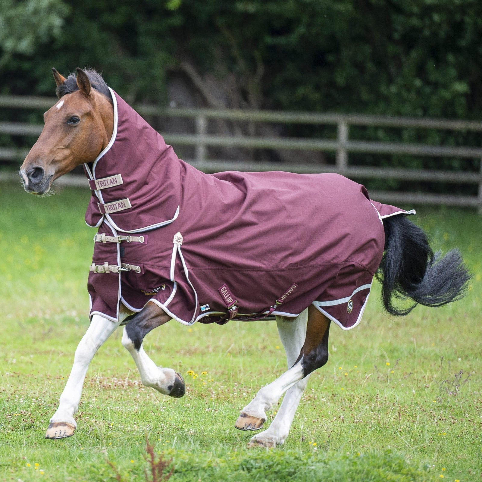 Picture of Gallop TROJAN Xtra Duraproof 100g Horse Turnout Rug, Full Neck Combo 1200 Denier