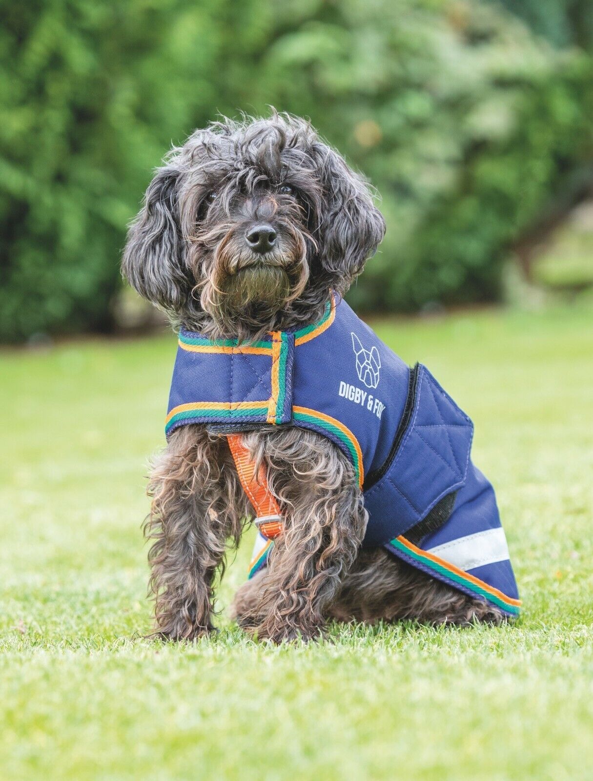 Picture of Shires Digby & Fox Waterproof Dog Coat, Insulated lining, Various Sizes/Colours