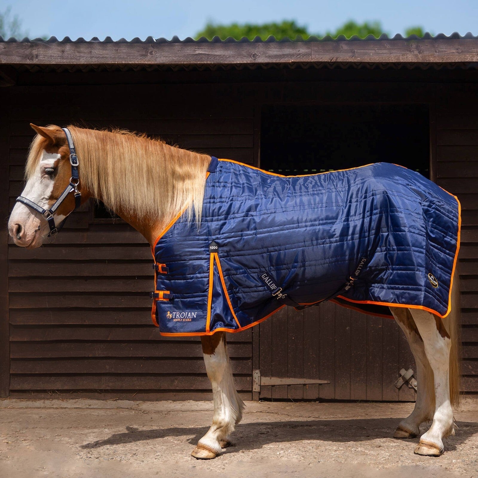 Picture of Gallop Trojan 100g Indoor Stable Rug Standard Neck In Navy/Orange