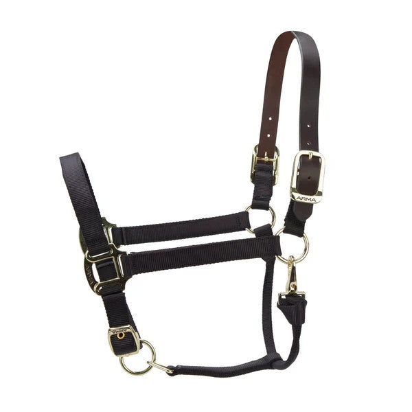 Picture of Shires ARMA Premium Adjustable FieldSafe Headcollar, 10 Colours, 4 Sizes