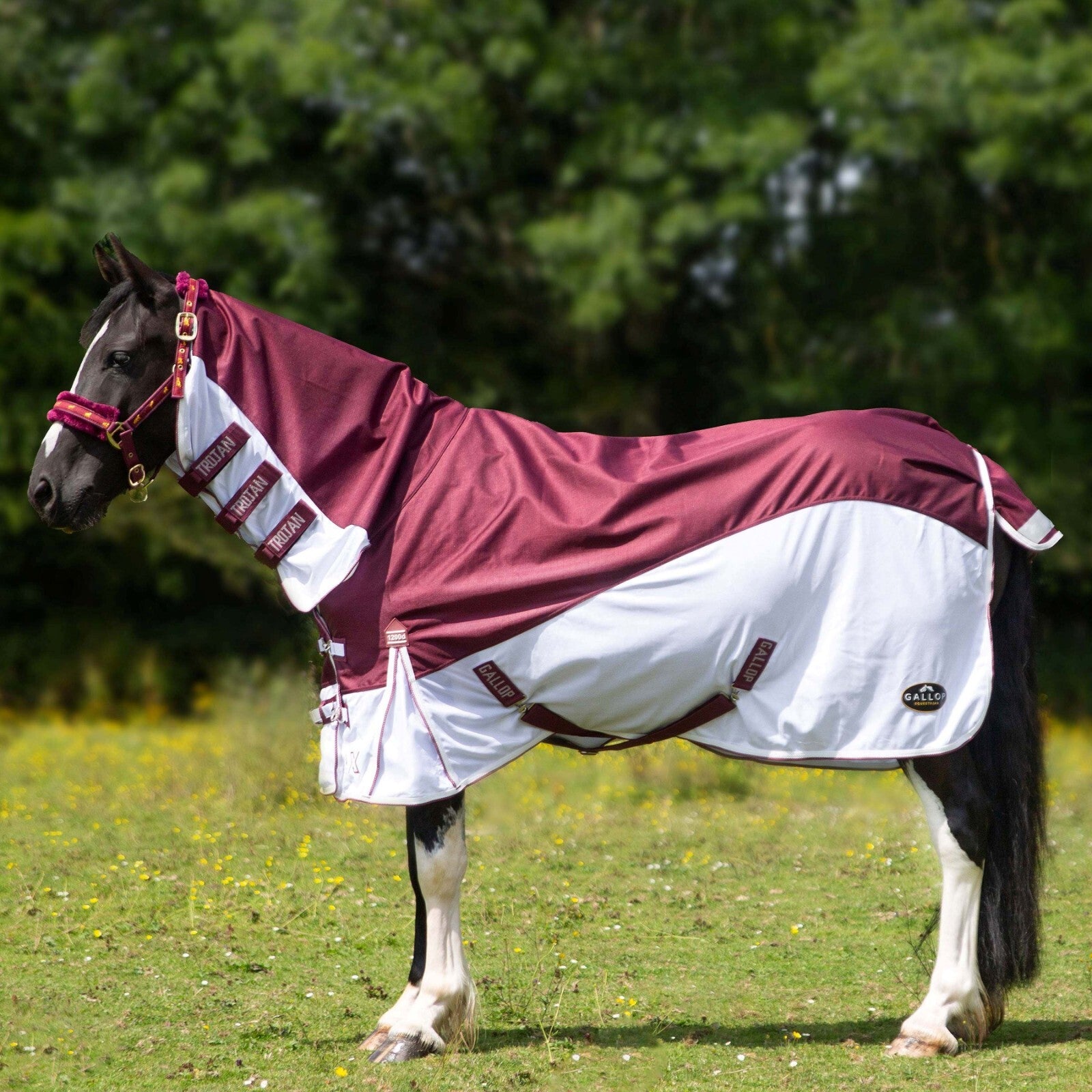 Picture of Gallop TROJAN Xtra Turnout Fly Rug, 1200 Denier, UV Protect, Fixed Neck Combo