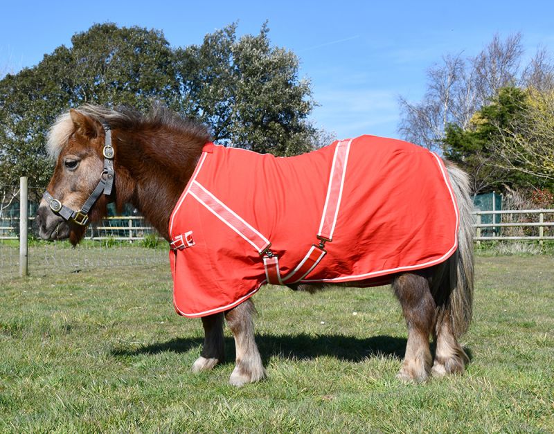 Rhinegold Mini Summer Sheet Travel Horse Rug. 2 colours
