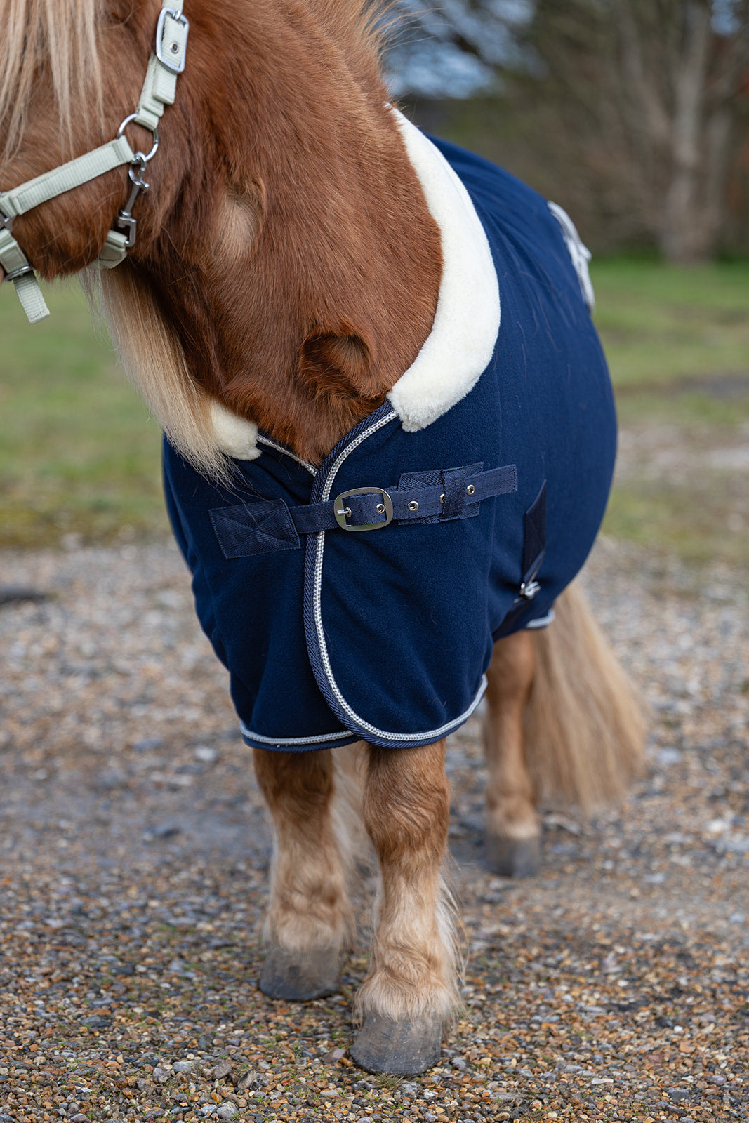 Rhinegold Mini Show Fleece, Std Neck, 3'6"-4'3"