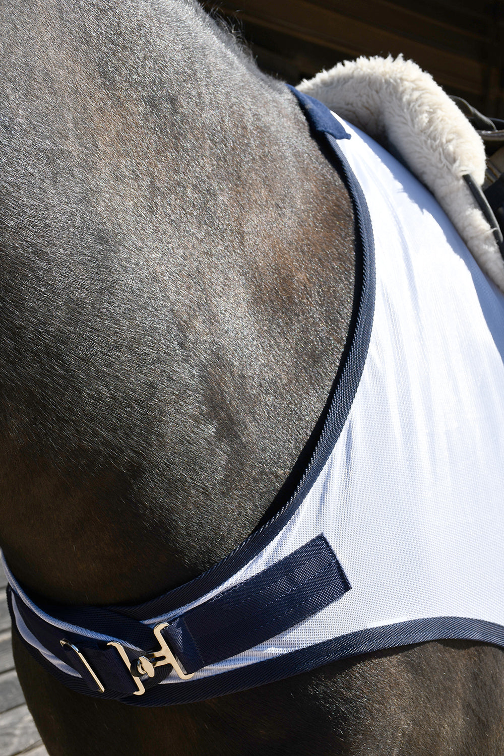 Rhinegold Fixed Chest Fly Mesh Ride-On Horse Rug, White, UV Protect.