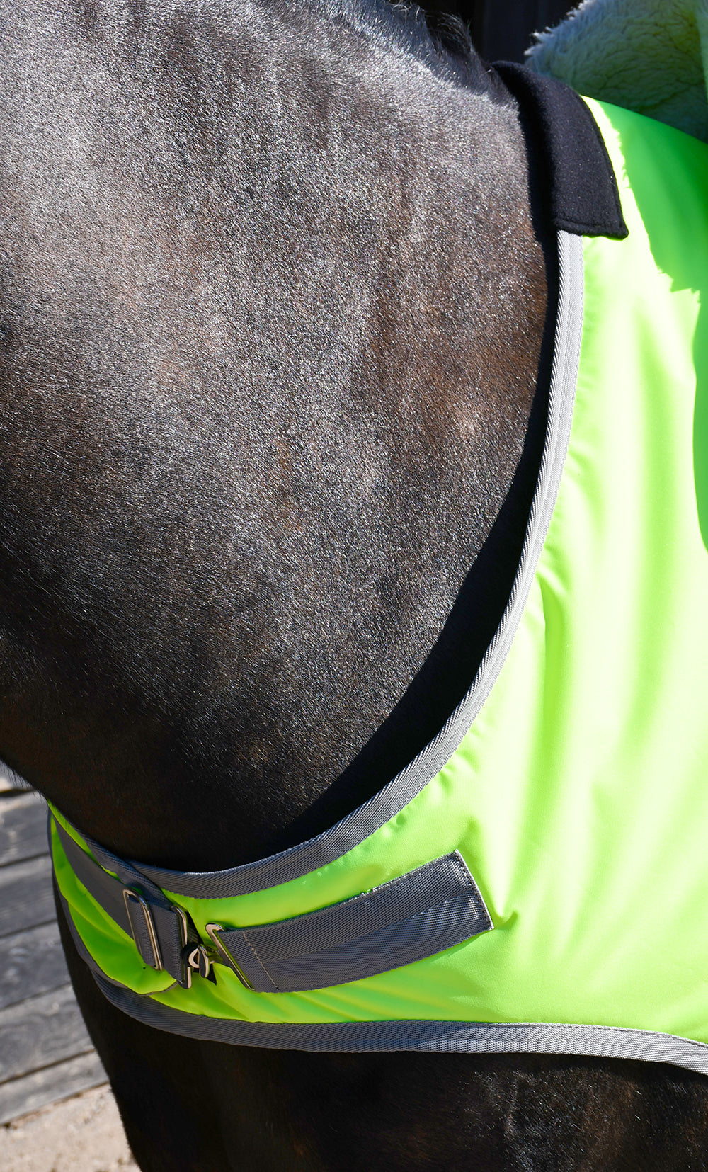 Rhinegold Fixed Chest Waterproof Ride-On Horse Rug, Navy or Yellow, 5'0"-7'0"