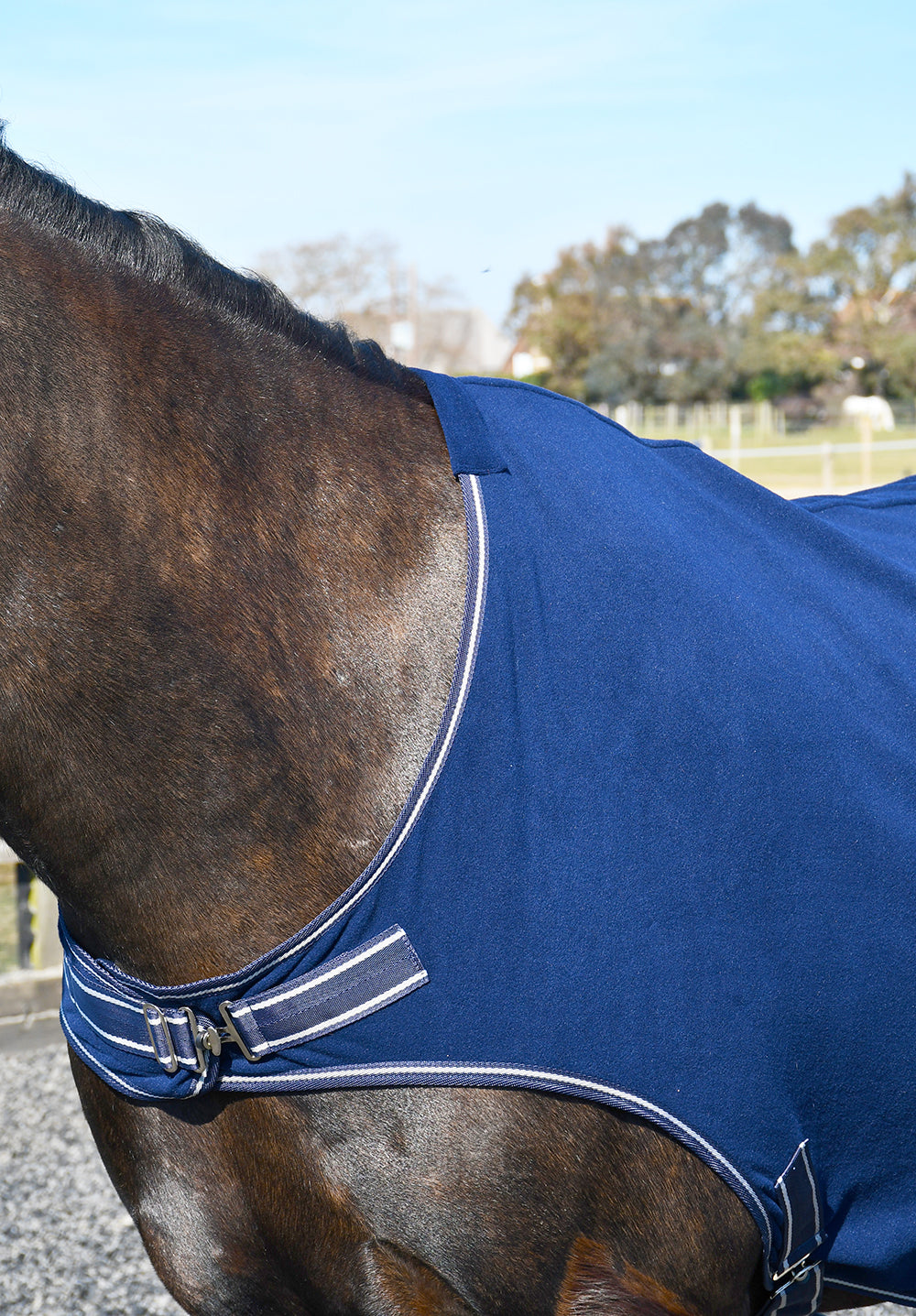 Rhinegold Fleece Horsewalker/Lunge Rug, Navy, 5'0" - 7'0"
