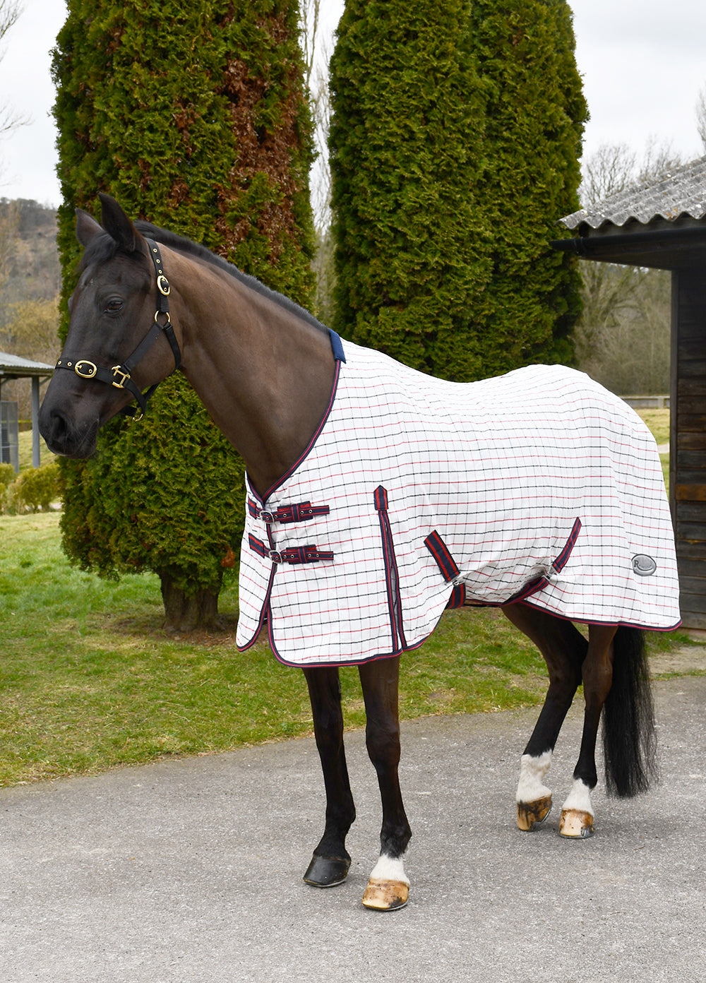 Rhinegold Maui Check Summer Sheet Horse Rug