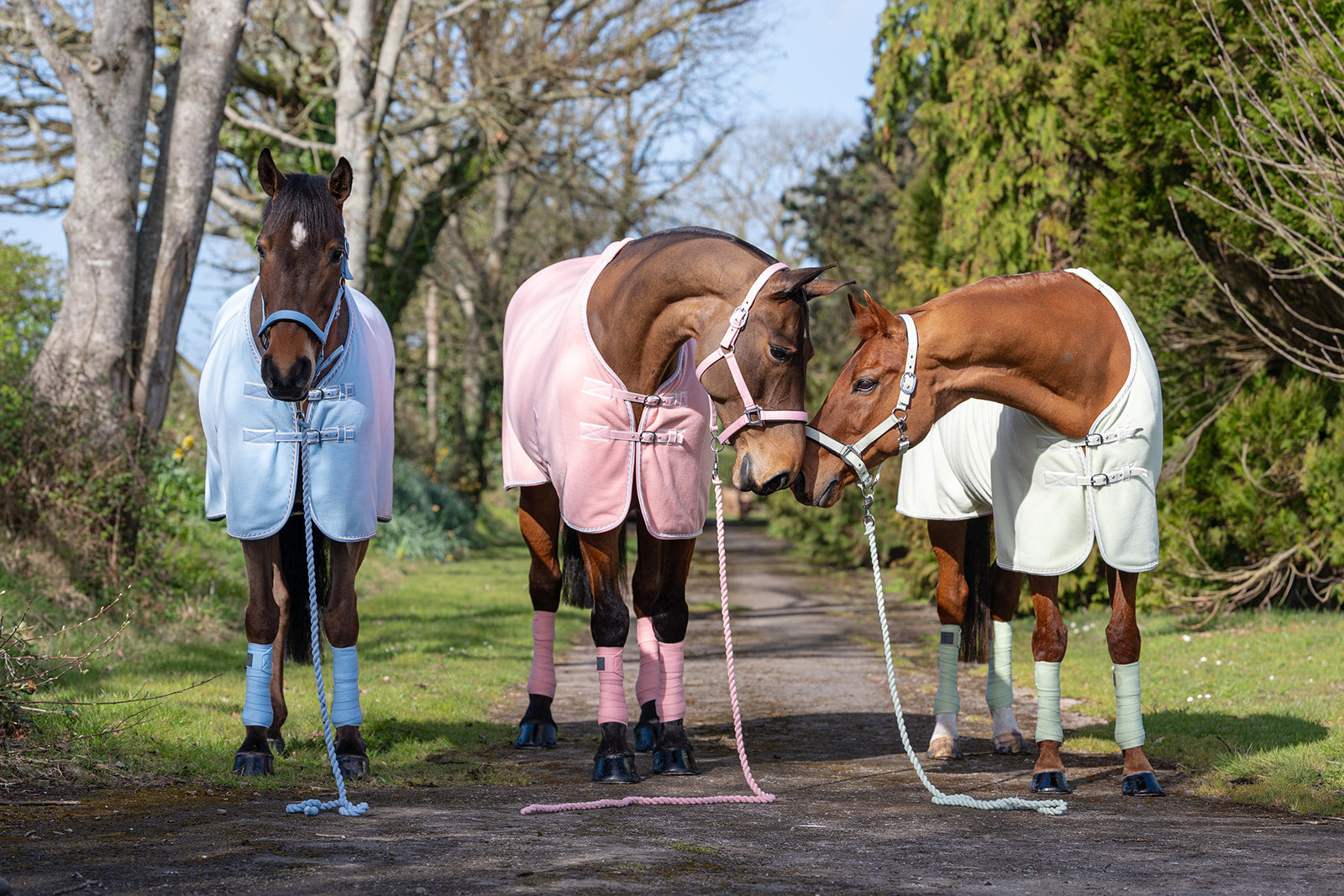 Rhinegold Sorbet Fleece/Travel Rugs, 3 Colours, 4'6"-7'3"