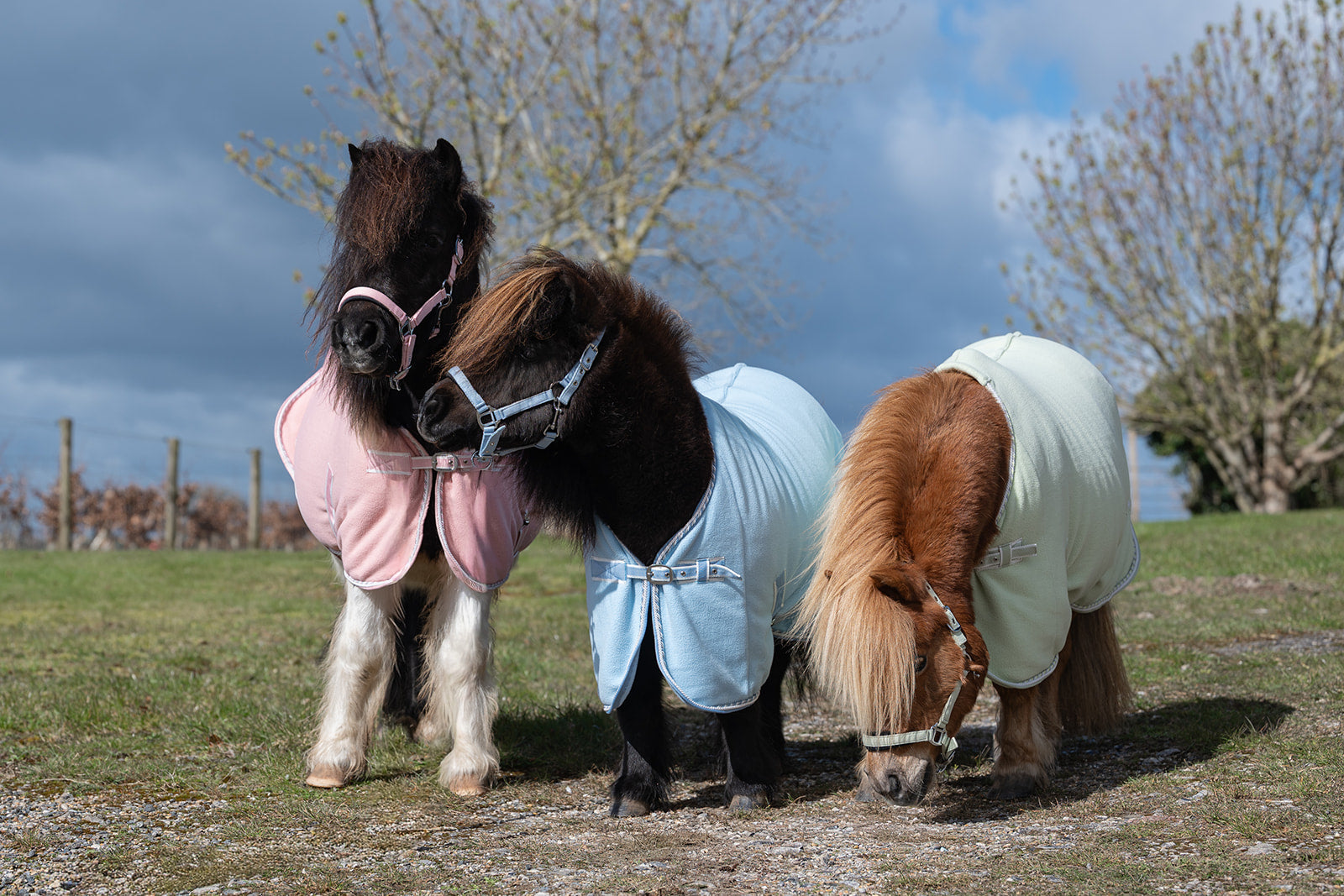 Rhinegold Mini Sorbet Fleece Rugs, Std Neck, 3 Colours,  3'6"-4'3"