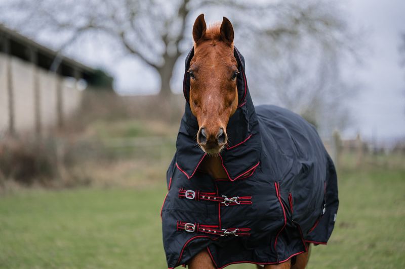 Heavyweight Horse Turnout Rug, 350g  Rhinegold Aspen  Combo, Full Neck,  Winter