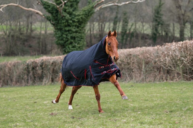 Heavyweight Horse Turnout Rug, 350g  Rhinegold Aspen  Combo, Full Neck,  Winter