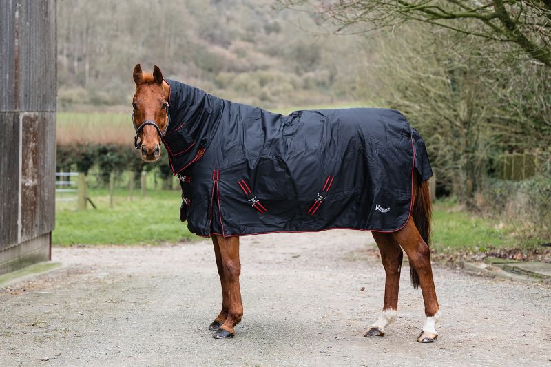 Heavyweight Horse Turnout Rug, 350g  Rhinegold Aspen  Combo, Full Neck,  Winter